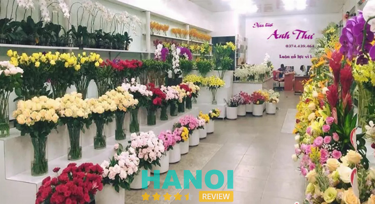 Shop hoa tươi Anh Thư