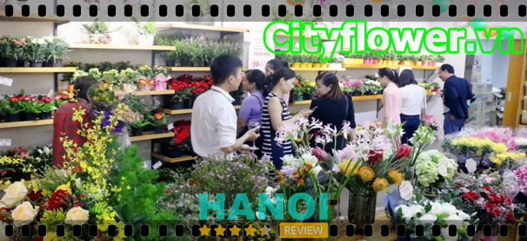 Shop hoa tươi City Flowers