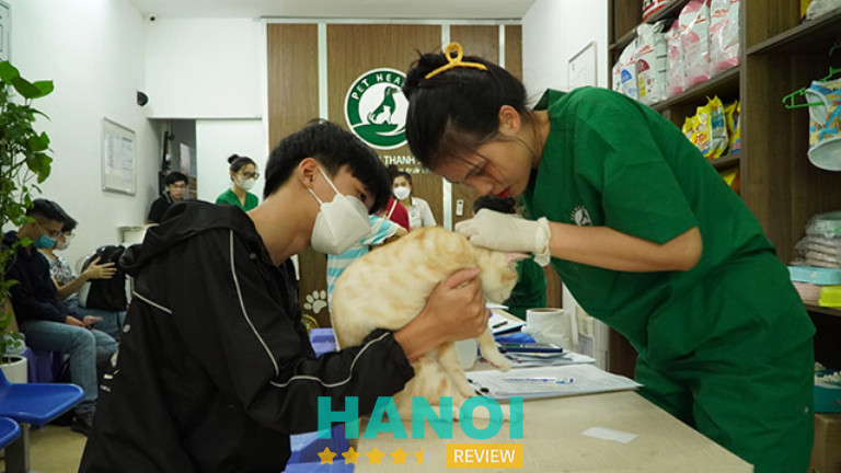 Bệnh viện thú y PetHealth