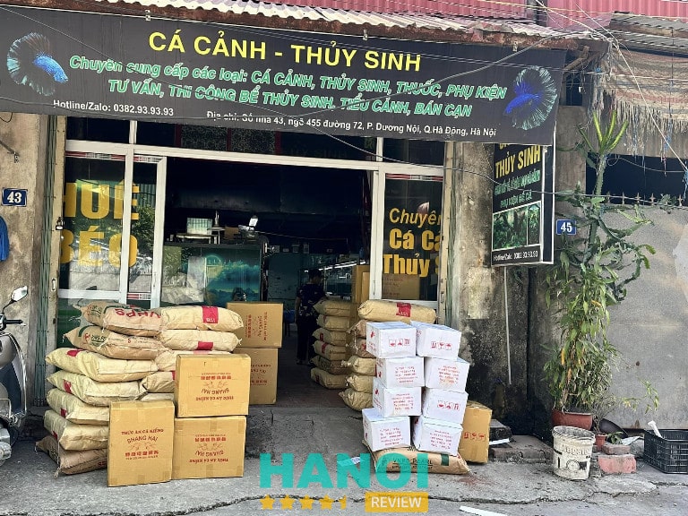 Cá cảnh Huệ Béo