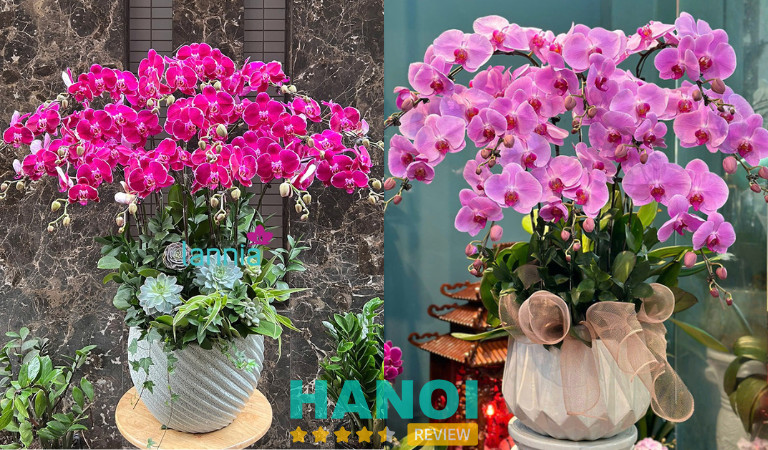 Lannia Shop tại Hà Nội