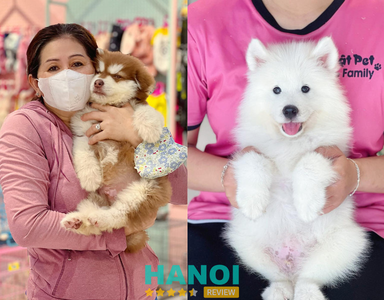 Mật Pet Family