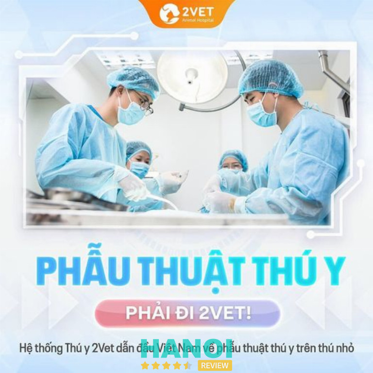 Dịch vụ chăm sóc thú cưng tại Hà Nội đáng tin cậy